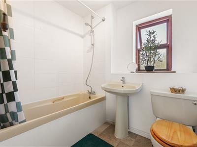 Picture 17